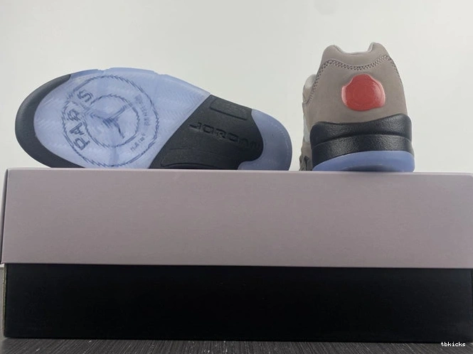 Cheap TBK 4006 DX6325- TechFriendly Jordan5 Low 1026